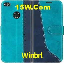Promoções Sazonais Winbrl